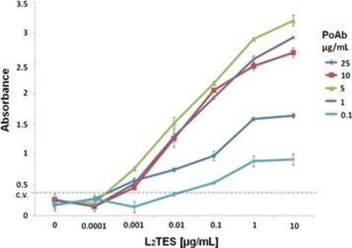 Anti-Mouse IgG (whole molecule)–Peroxidase antibody produced in goat affinity isolated antibody, buffered aqueous solution