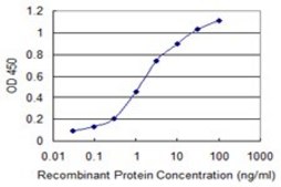 Monoclonal Anti-PXDN antibody produced in mouse clone 2C11, purified immunoglobulin, buffered aqueous solution