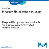 Streptavidine, conjuguée à l'agarose Streptavidin, agarose beads suitable for purification of biotinylated macromolecules.