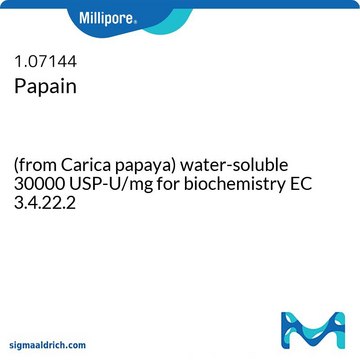 Papain (from Carica papaya) water-soluble 30000 USP-U/mg for biochemistry EC 3.4.22.2