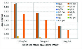 Anti-Mouse IgG2a antibody, Rabbit monoclonal recombinant, expressed in HEK 293 cells, clone RM219, purified immunoglobulin
