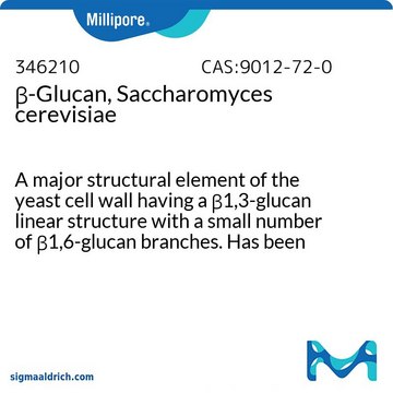 &#946;-Glucan, Saccharomyces cerevisiae A major structural element of the yeast cell wall having a &#946;1,3-glucan linear structure with a small number of &#946;1,6-glucan branches. Has been shown to induce an oxidative burst response from NR8383 cells.