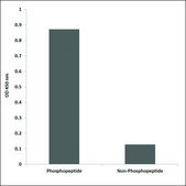 Anti-phospho-MITF (pSer180/73) antibody produced in rabbit affinity isolated antibody