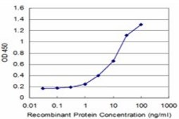Monoclonal Anti-PYGM, (C-terminal) antibody produced in mouse clone 3D8, purified immunoglobulin, buffered aqueous solution