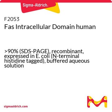 Fas Intracellular Domain human &gt;90% (SDS-PAGE), recombinant, expressed in E. coli (N-terminal histidine tagged), buffered aqueous solution