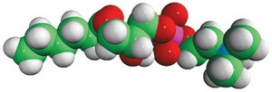 06:0 Lyso PC 1-hexanoyl-2-hydroxy-sn-glycero-3-phosphocholine, powder