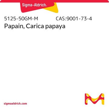 Papain, Carica papaya