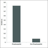 Anti-phospho-IRAK1 (pThr209) antibody produced in rabbit affinity isolated antibody