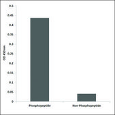Anti-phospho-PKC &#948; (pTyr52) antibody produced in rabbit affinity isolated antibody