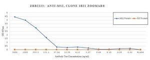 Anti-Bacteriophage MS2 Antibody, clone 1B21 ZooMAb&#174; Rabbit Monoclonal recombinant, expressed in HEK 293 cells