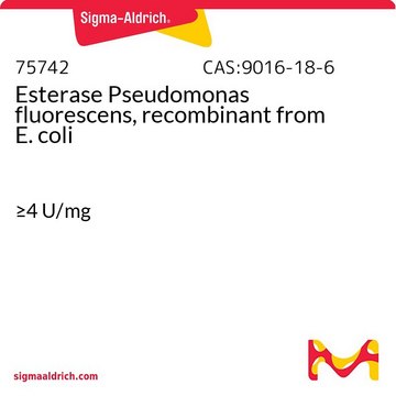 Esterase Pseudomonas fluorescens, recombinant from E. coli &#8805;4&#160;U/mg