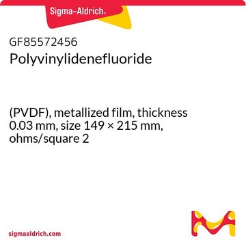 Polyvinylidenefluoride (PVDF), metallized film, thickness 0.03&#160;mm, size 149 × 215&#160;mm, ohms/square 2