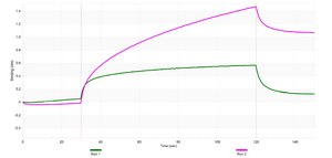 Anti-CKII-&#945; Antibody, clone 3K8 ZooMAb&#174; Rabbit Monoclonal recombinant, expressed in HEK 293 cells