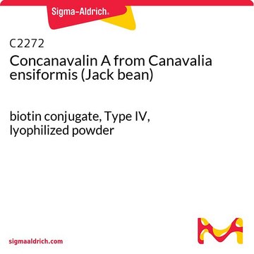 Concanavalin A from Canavalia ensiformis (Jack bean) biotin conjugate, Type IV, lyophilized powder