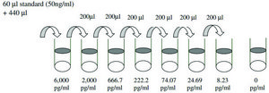 Porcine IL-1 &#946; / IL-1F2 ELISA Kit for serum, plasma and cell culture supernatant