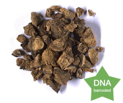 Harpagophytum procumbens Root Botanical reference material