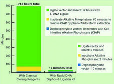 Rapid DNA Dephos &amp; Ligation Kit sufficient for 40&#160;reactions (04898117001), sufficient for 160&#160;reactions (04898125001), optimum reaction temp. 37 °C