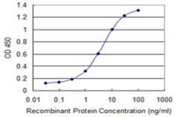 Monoclonal Anti-CALN1 antibody produced in mouse clone 2G2, purified immunoglobulin, buffered aqueous solution