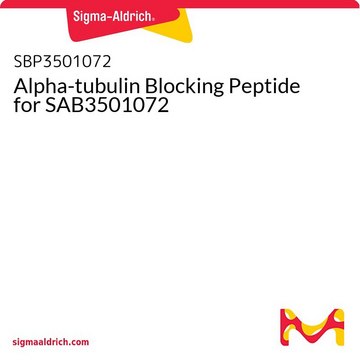 Alpha-tubulin Blocking Peptide for SAB3501072