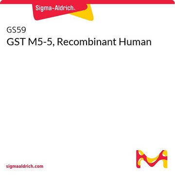 GST M5-5, Recombinant Human