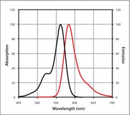 Anti-Swine IgG (H+L), CF&#8482; 568 antibody produced in goat ~2&#160;mg/mL, affinity isolated antibody