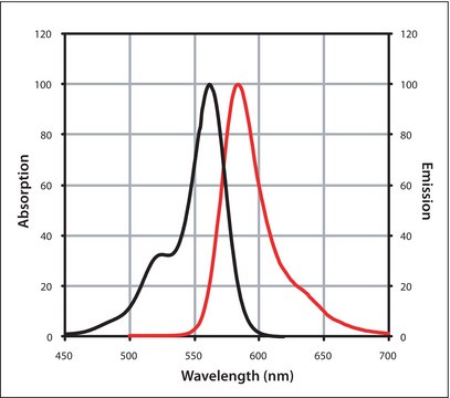 Mix-n-Stain&#8482; CF&#8482; 568 Antibody Labeling Kit (5-20&#956;g)