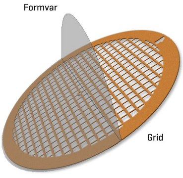 Formvar Supported Copper Square Mesh grid size 200&#160;mesh, box of 25