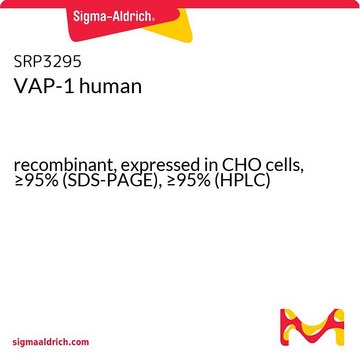 VAP-1 human recombinant, expressed in CHO cells, &#8805;95% (SDS-PAGE), &#8805;95% (HPLC)