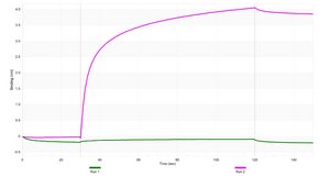 Anti-ICOS/CD278 Antibody, clone 1D20 ZooMAb&#174; Rabbit Monoclonal recombinant, expressed in HEK 293 cells