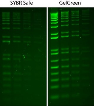 GelGreen&#174; Nucleic Acid Stain 10000X DMSO GelGreen is a fluorescent nucleic acid stain designed to replace the highly toxic ethidium bromide (EtBr) for staining dsDNA, ssDNA or RNA in agarose gels or polyacrylamide gels.