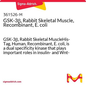 GSK-3&#946;, Rabbit Skeletal Muscle, Recombinant, E. coli GSK-3&#946;, Rabbit Skeletal MuscleHis-Tag, Human, Recombinant, E. coli, is a dual specificity kinase that plays important roles in insulin- and Wnt-mediated signaling. It is inactivated by phosphorylation at Ser9.