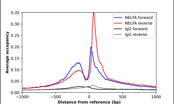 Anti-NELFA antibody produced in rabbit Prestige Antibodies&#174; Powered by Atlas Antibodies, affinity isolated antibody