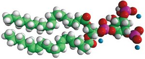 18:0-20:4 PI(3,5)P2 1-stearoyl-2-arachidonoyl-sn-glycero-3-phospho-(1&#8242;-myo-inositol-3&#8242;,5&#8242;-bisphosphate) (ammonium salt), powder