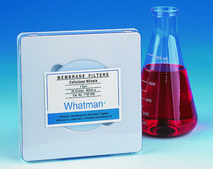Whatman&#174; cellulose acetate membranes cellulose acetate circles (OE 66), 0.2 &#956;m, 50 mm 100/pk