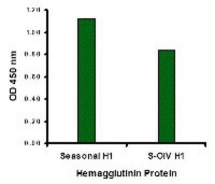 Anti-Seasonal H1N1 Hemagglutinin antibody produced in rabbit affinity isolated antibody