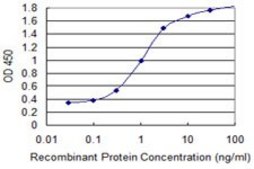 Monoclonal Anti-ANXA2 antibody produced in mouse clone 4G8, purified immunoglobulin, buffered aqueous solution