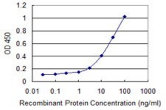 Monoclonal Anti-CD1B antibody produced in mouse clone 2E4, purified immunoglobulin, buffered aqueous solution