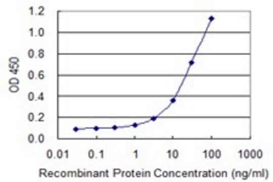 Monoclonal Anti-NAPSA, (C-terminal) antibody produced in mouse clone 2B1, purified immunoglobulin, buffered aqueous solution