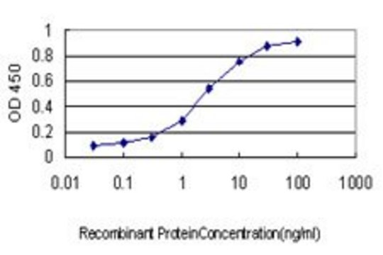 Monoclonal Anti-TGIF antibody produced in mouse clone 1D12, purified immunoglobulin, buffered aqueous solution