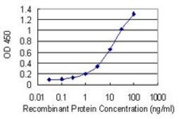 Monoclonal Anti-RNF170 antibody produced in mouse clone 2D6, purified immunoglobulin, buffered aqueous solution