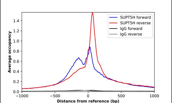 Anti-SUPT5H antibody produced in rabbit Prestige Antibodies&#174; Powered by Atlas Antibodies, affinity isolated antibody, buffered aqueous glycerol solution