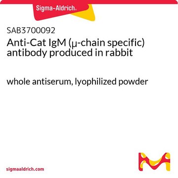 Anti-Cat IgM (&#956;-chain specific) antibody produced in rabbit whole antiserum, lyophilized powder