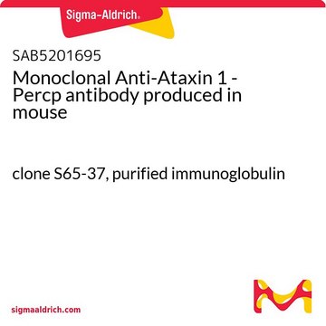 Monoclonal Anti-Ataxin 1 - Percp antibody produced in mouse clone S65-37, purified immunoglobulin