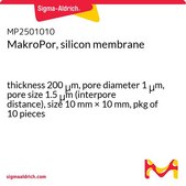 MakroPor, silicon membrane thickness 200&#160;&#956;m, pore diameter 1&#160;&#956;m, pore size 1.5&#160;&#956;m (interpore distance), size 10&#160;mm × 10&#160;mm, pkg of 10&#160;pieces