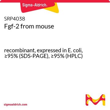 Fgf-2 from mouse recombinant, expressed in E. coli, &#8805;95% (SDS-PAGE), &#8805;95% (HPLC)