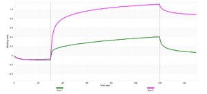Anti-p-KAP-1 (Ser824) Antibody, clone 1K9 ZooMAb&#174; Rabbit Monoclonal recombinant, expressed in HEK 293 cells