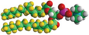 16:0 PC-d62 Avanti Research&#8482; - A Croda Brand 860355P, powder