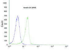 Anti-Keratin 18 antibody, Rabbit monoclonal clone SP69, recombinant, expressed in proprietary host, affinity isolated antibody