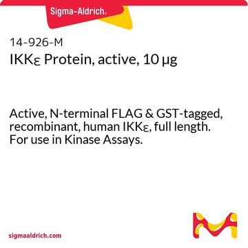 IKK&#949; Protein, active, 10 &#181;g Active, N-terminal FLAG &amp; GST-tagged, recombinant, human IKK&#949;, full length. For use in Kinase Assays.