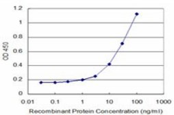 Monoclonal Anti-LHX5 antibody produced in mouse clone 2C6, purified immunoglobulin, buffered aqueous solution